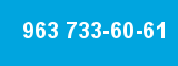 963 733-60-61